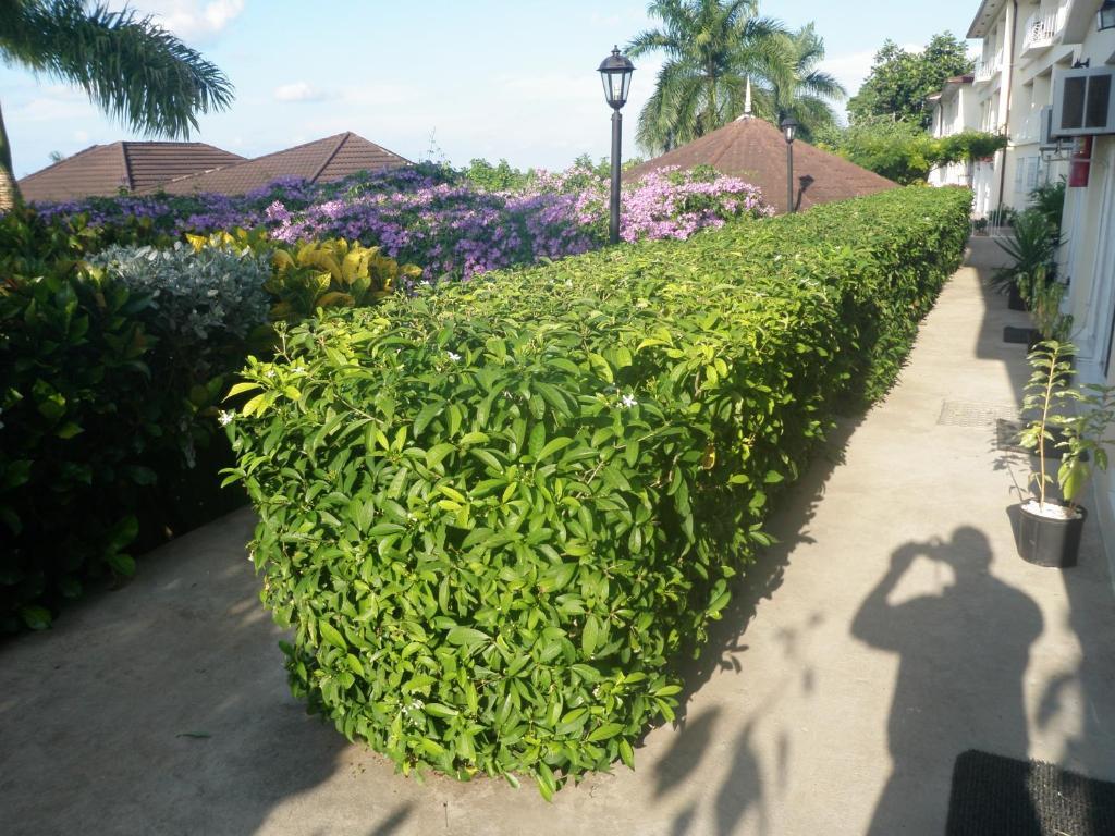 Hotel Relax Resort Teluk Montego Bagian luar foto